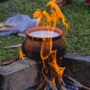 Wasantha Udanaya 2025